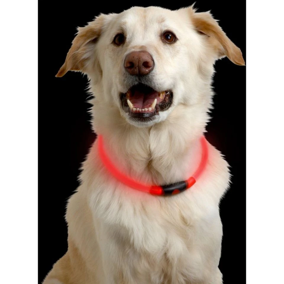 Nitehowl LED Safety Necklace - Image 3