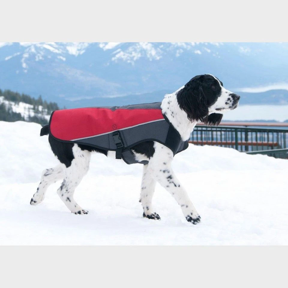 Element Dog Jacket (Small) - Image 2